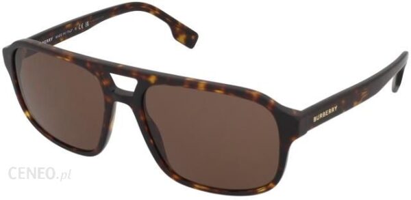 Burberry Francis BE4320 300273