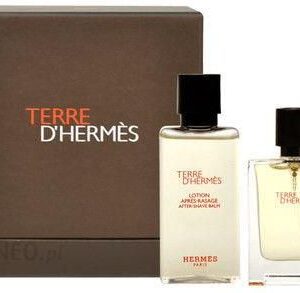 Hermes Terre D Hermes woda toaletowa 125ml