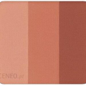 Inglot Cień Do Powiek Freedom System Rainbow Matte Nf 102 3