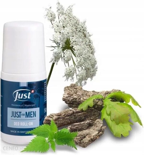 Just For Men Dezodorant W Kulce 50ml